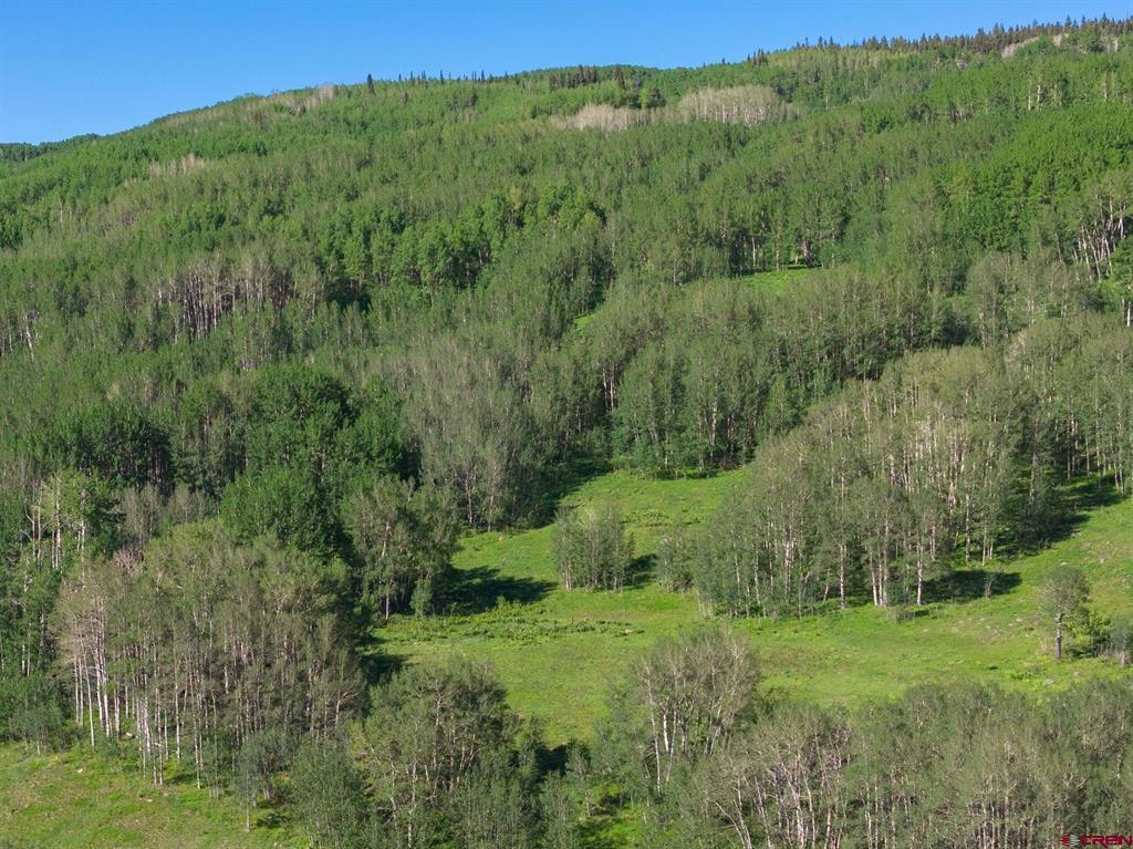 2177 Aspen Mountain Road Property Photo 15