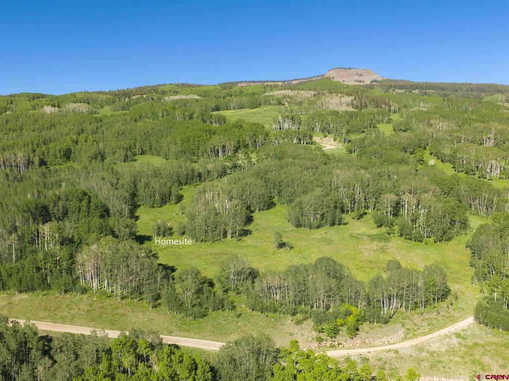 2177 Aspen Mountain Road Property Photo 19