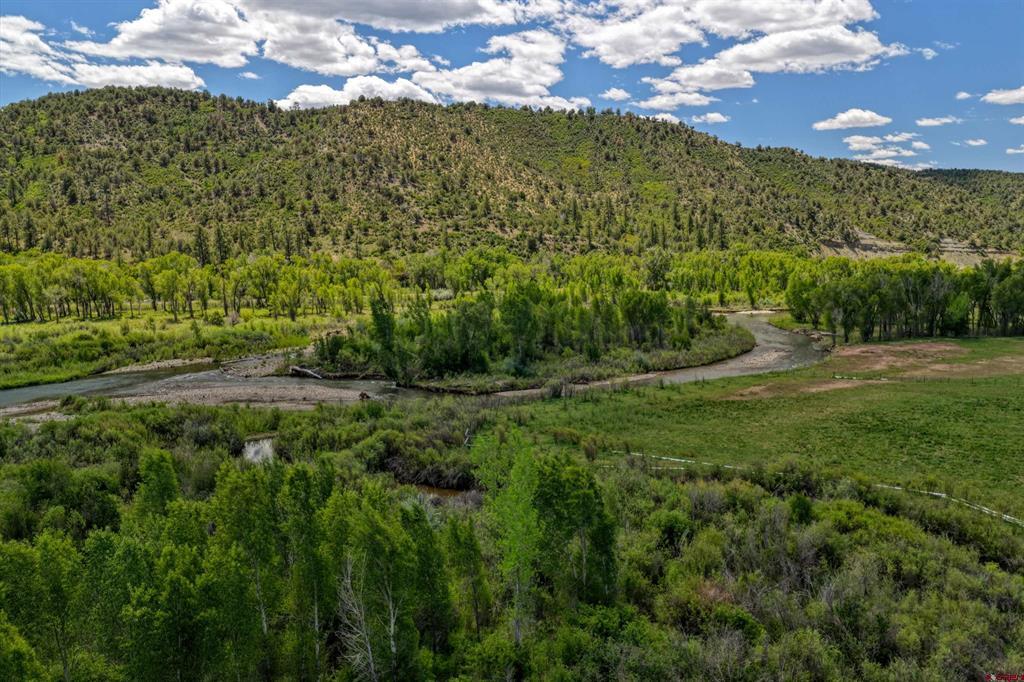 12248 Usfs 613 Road Property Photo 16