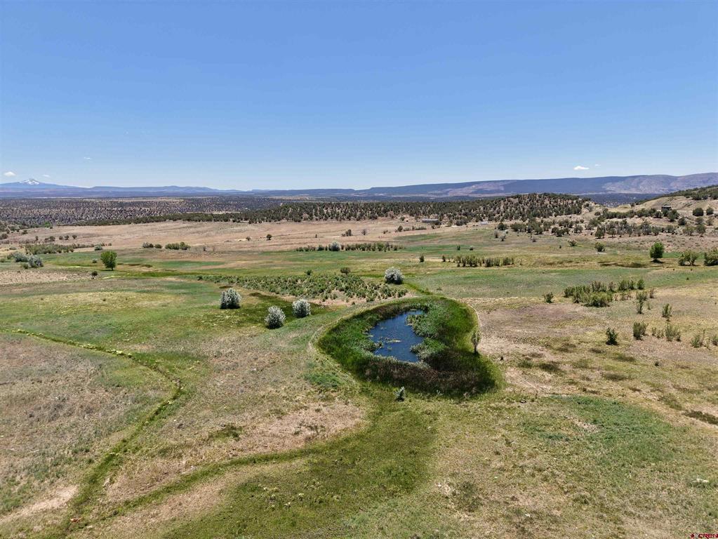 30700 Hwy 97 Property Photo 11