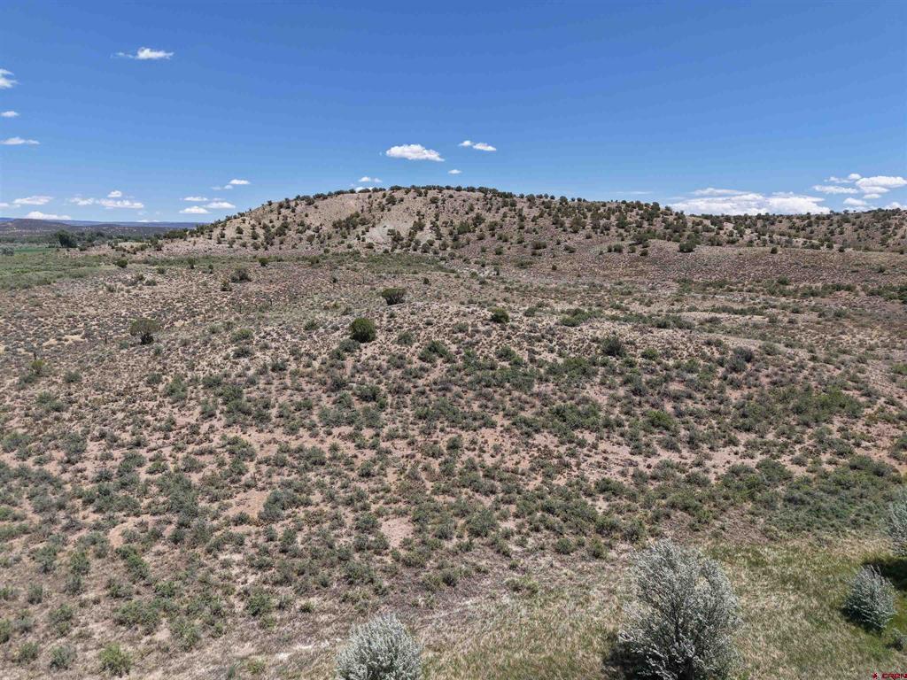 30700 Hwy 97 Property Photo 17
