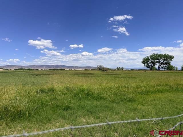 2150 2160 Mesa Drive Property Photo 4