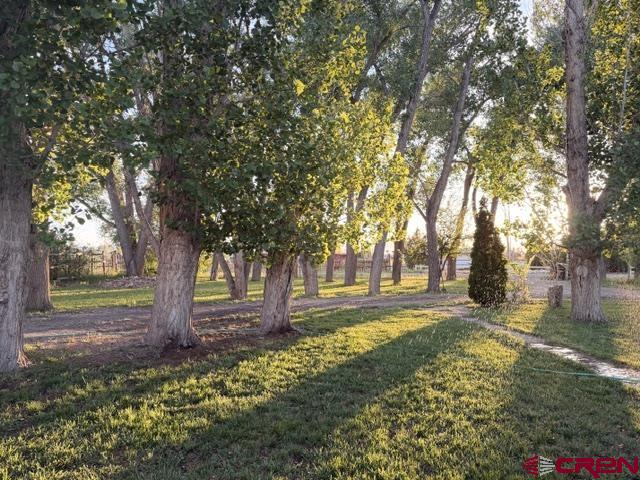 2150 2160 Mesa Drive Property Photo 23