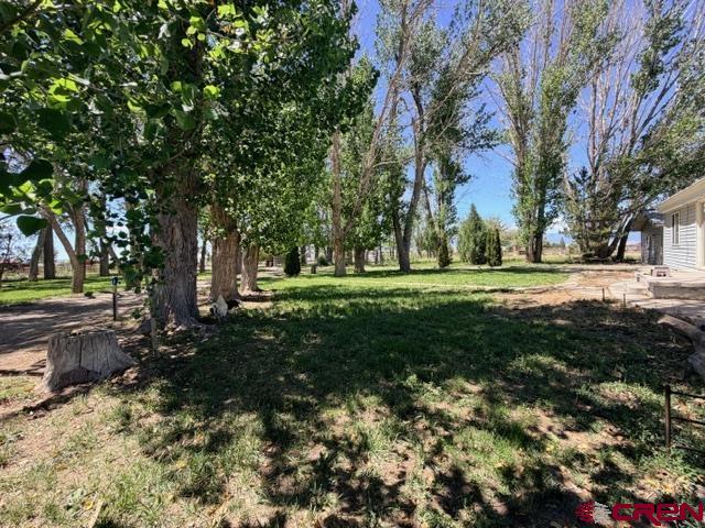 2150 2160 Mesa Drive Property Photo 28