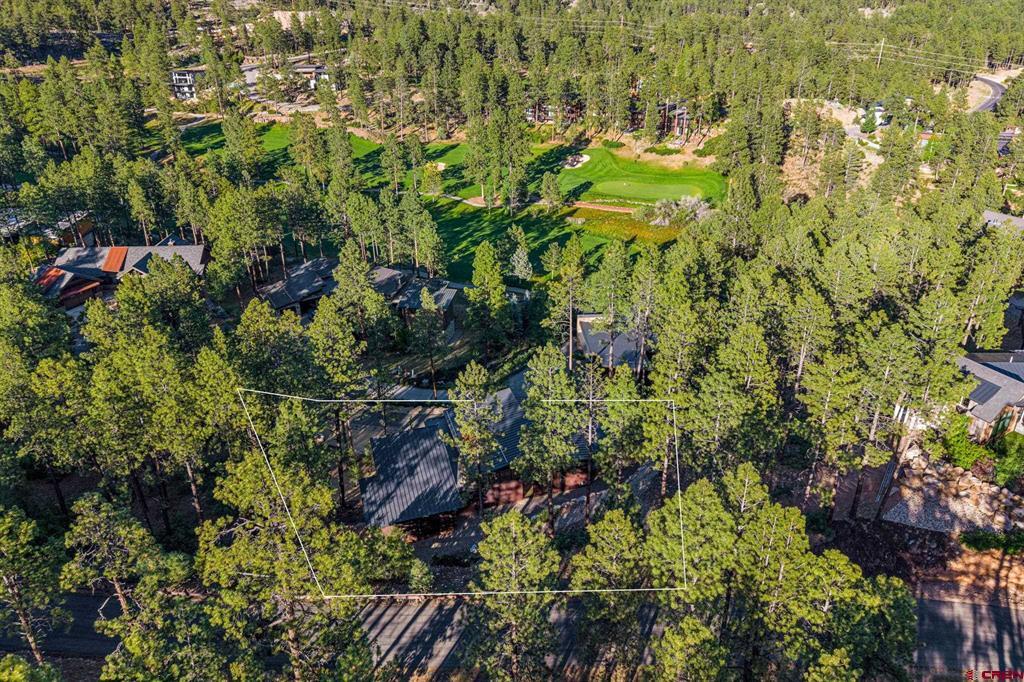 42 Renegade Trail Property Photo 44
