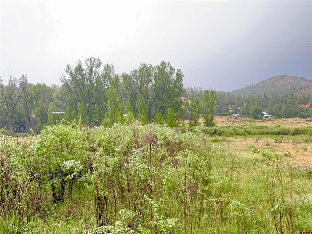 X Caballo Property Photo 4