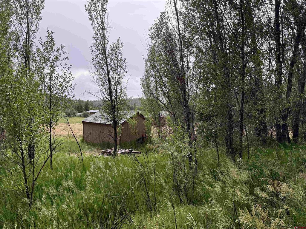 X Caballo Property Photo 9