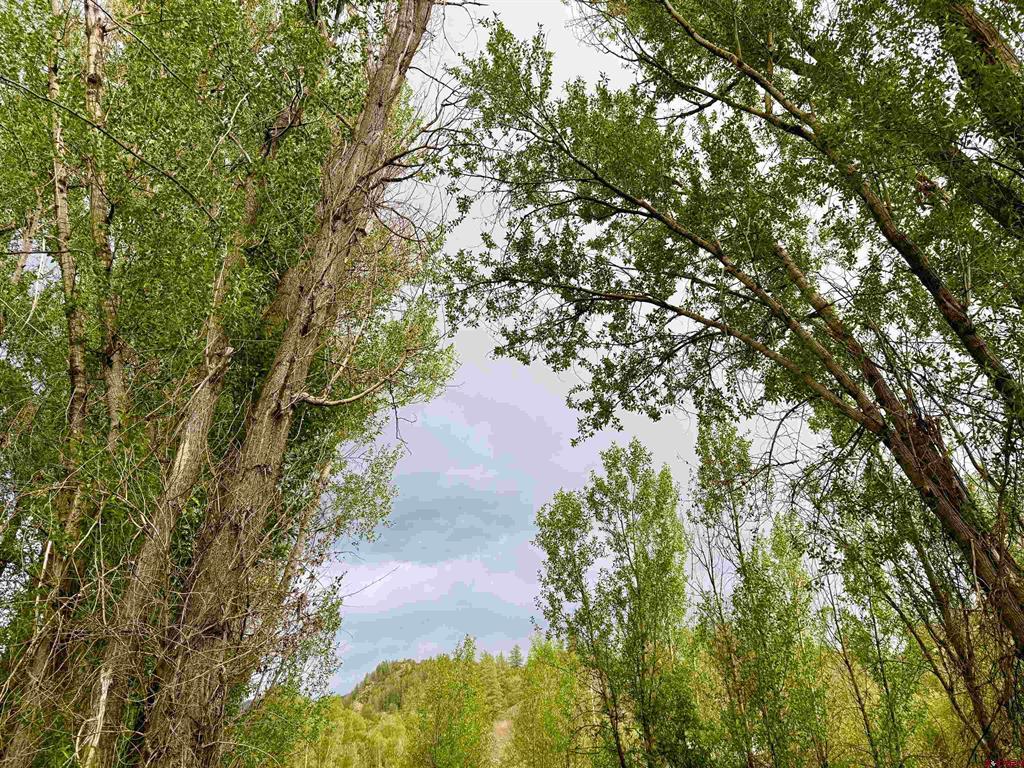 X Caballo Property Photo 10