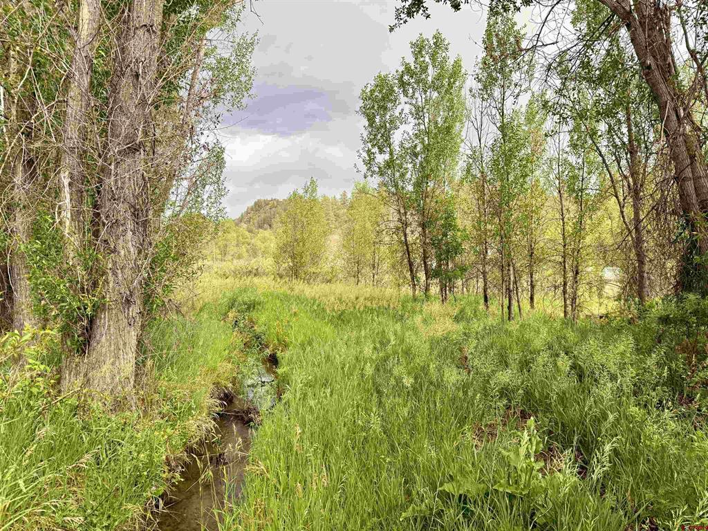 X Caballo Property Photo 11