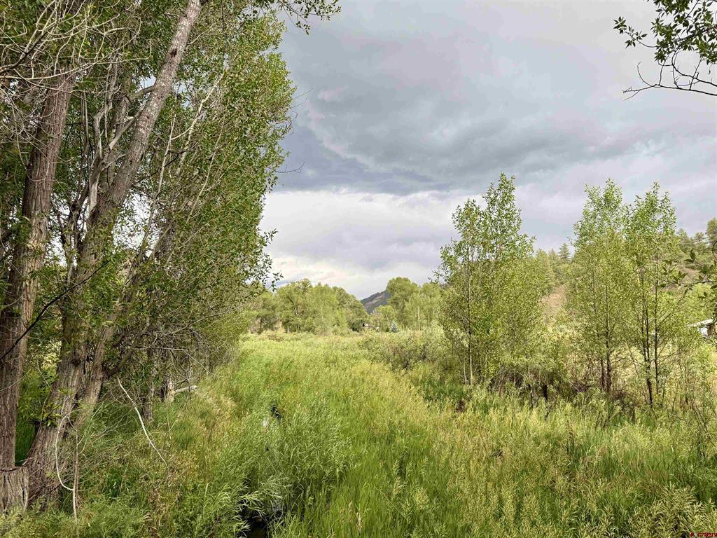 X Caballo Property Photo 12
