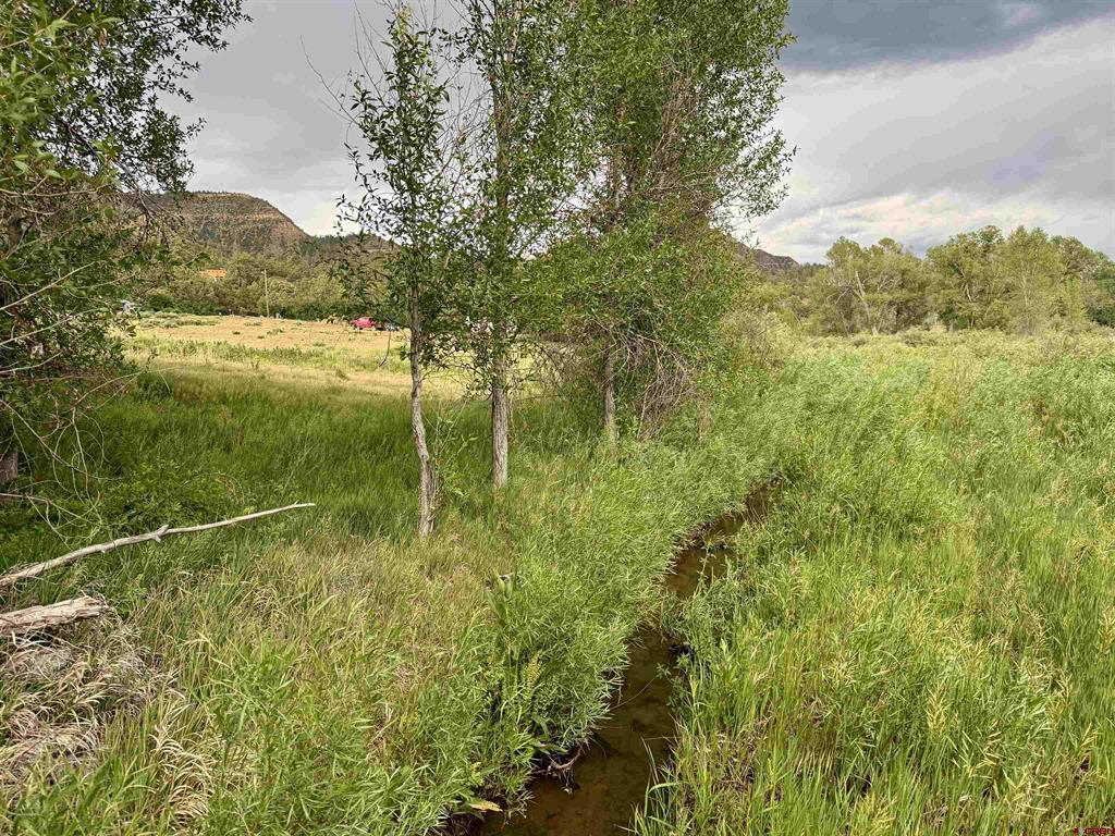 X Caballo Property Photo 14