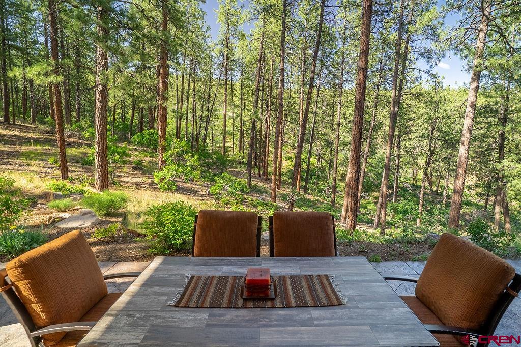 124 Monarch Crest Trail Property Photo 39