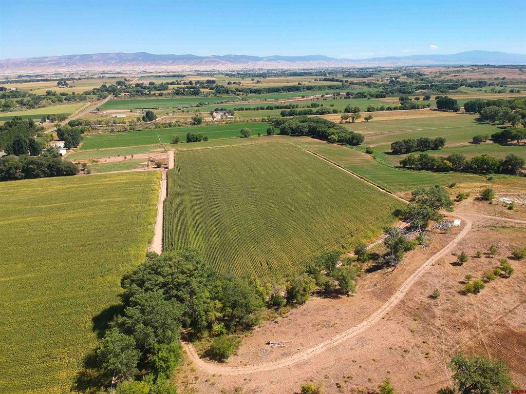 55532 Dalia Road Property Photo 8