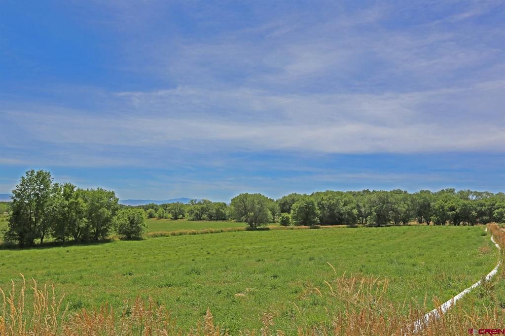 55532 Dalia Road Property Photo 16
