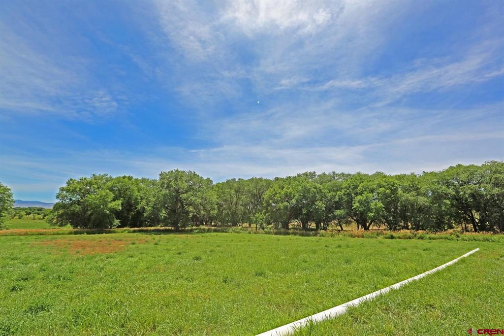 55532 Dalia Road Property Photo 17