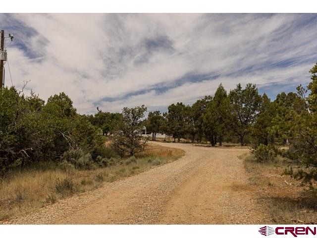 1848 D Bar K Property Photo 2