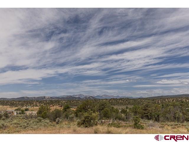 1848 D Bar K Property Photo 5