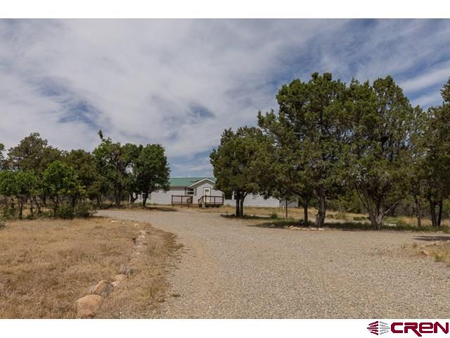 1848 D Bar K Property Photo 8