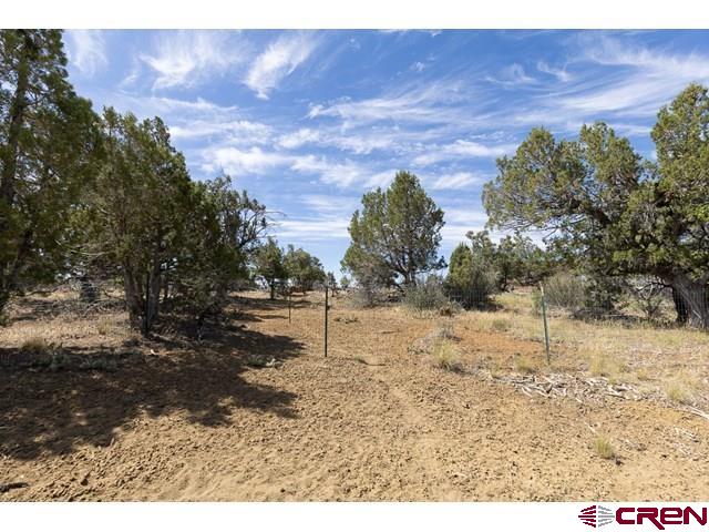 1848 D Bar K Property Photo 42
