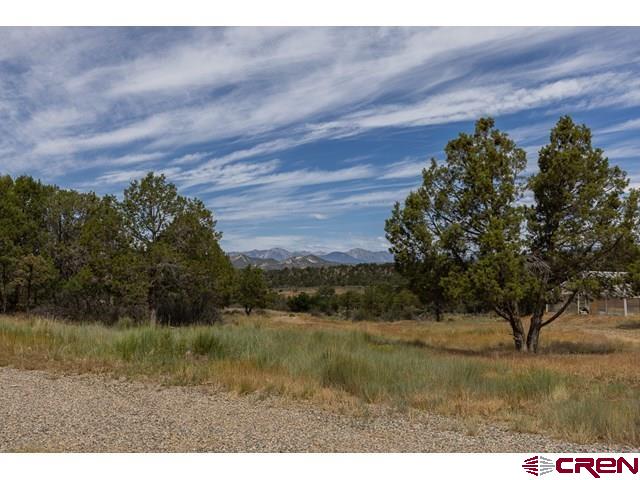 1848 D Bar K Property Photo 43