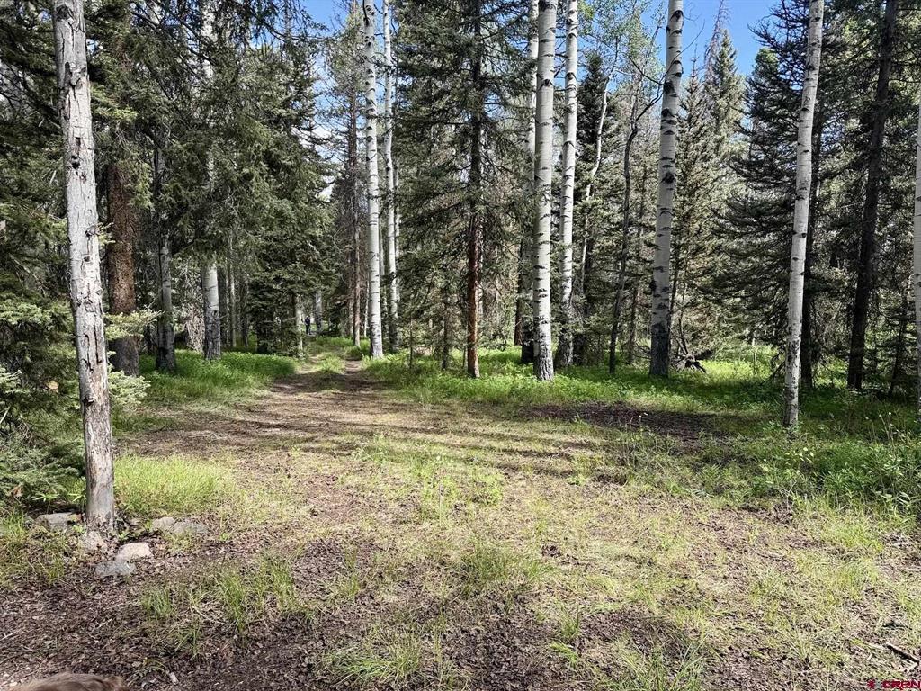 425 Aspen Trail Property Photo 1
