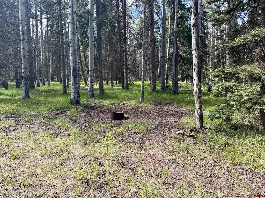 425 Aspen Trail Property Photo 2