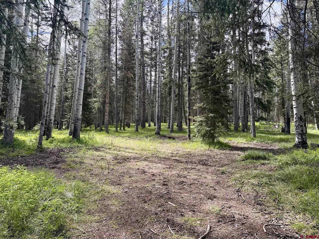 425 Aspen Trail Property Photo 3