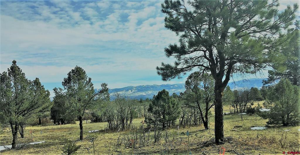 Tbd S Badger Trail Property Photo 1
