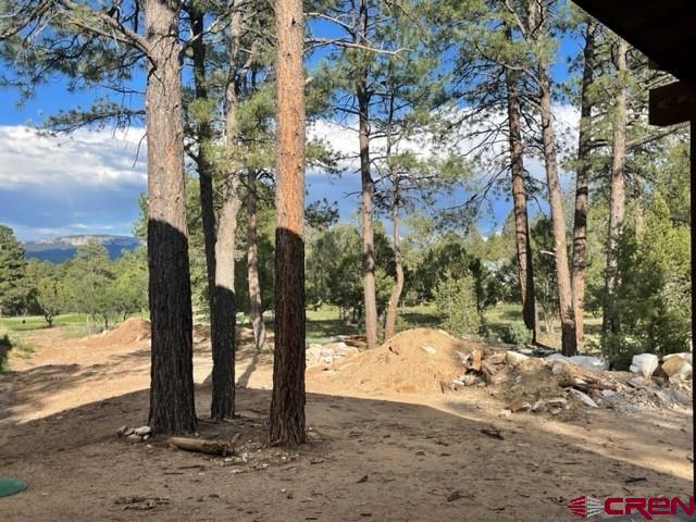 Tbd S Badger Trail Property Photo 2