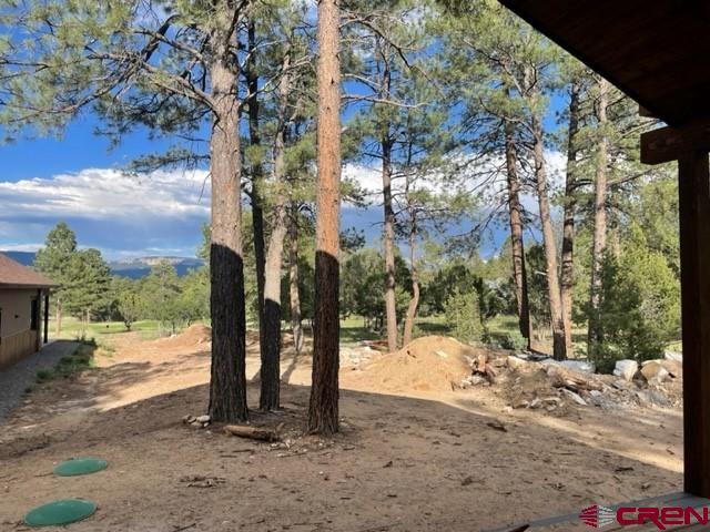 Tbd S Badger Trail Property Photo 4