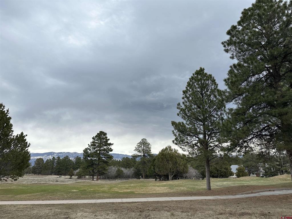 Tbd S Badger Trail Property Photo 15