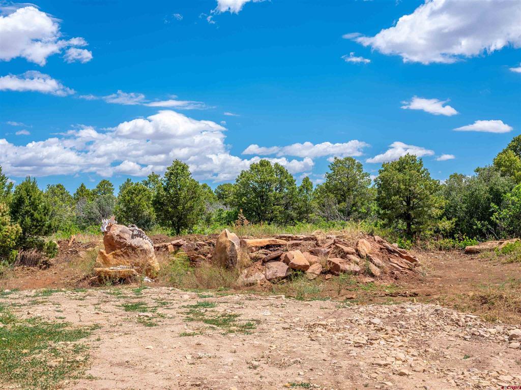 724 Blue Canyon Ranch Road Property Photo 12