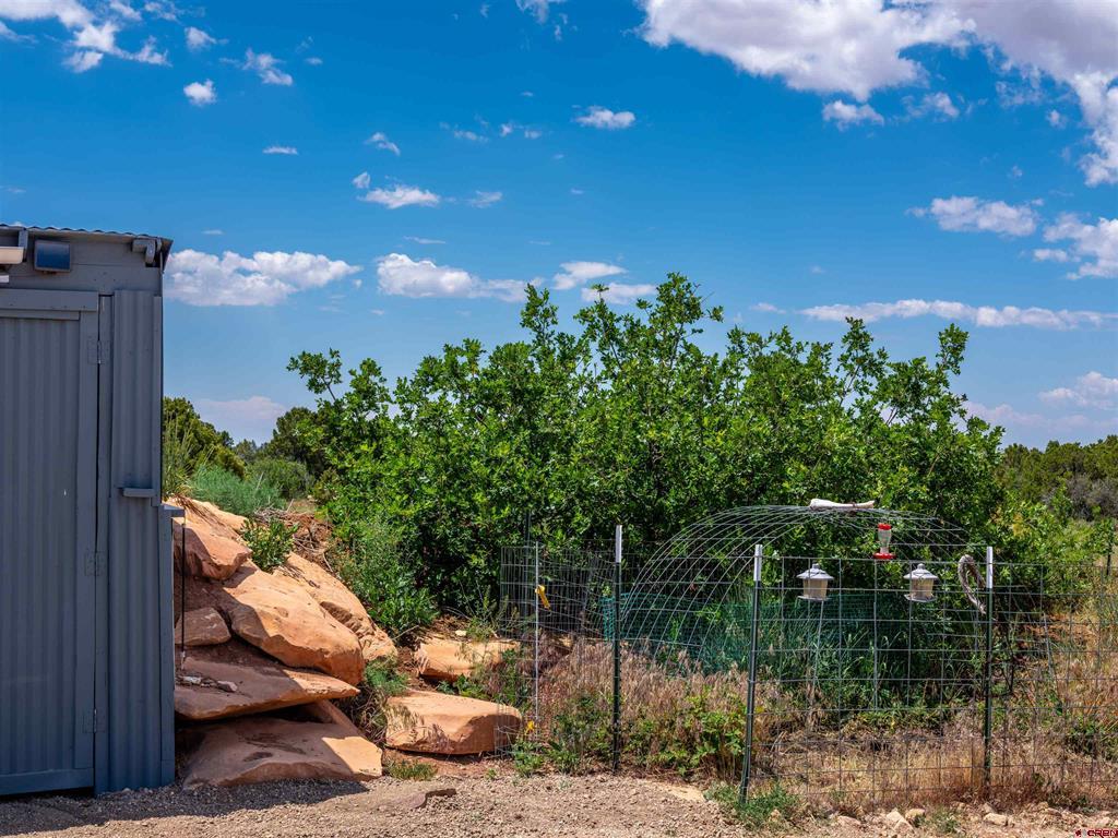 724 Blue Canyon Ranch Road Property Photo 18