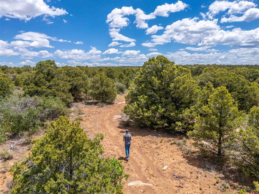 724 Blue Canyon Ranch Road Property Photo 27