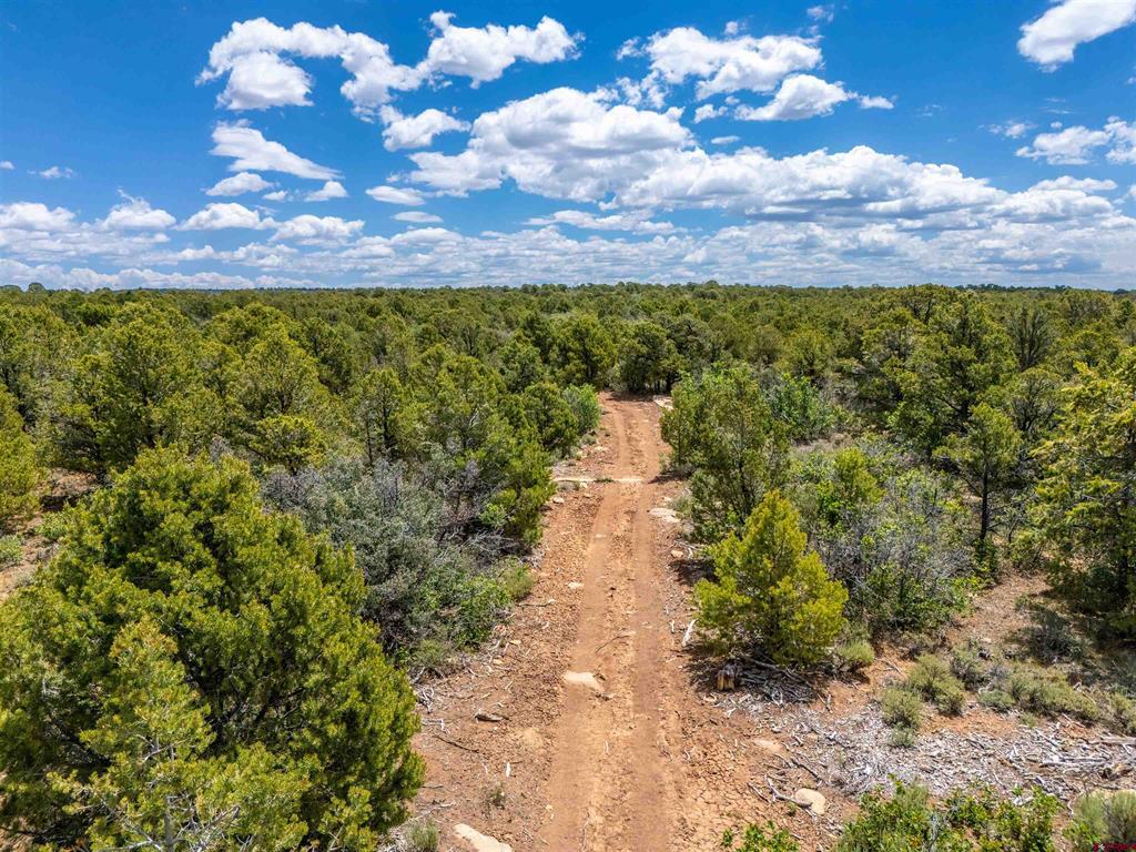 724 Blue Canyon Ranch Road Property Photo 31