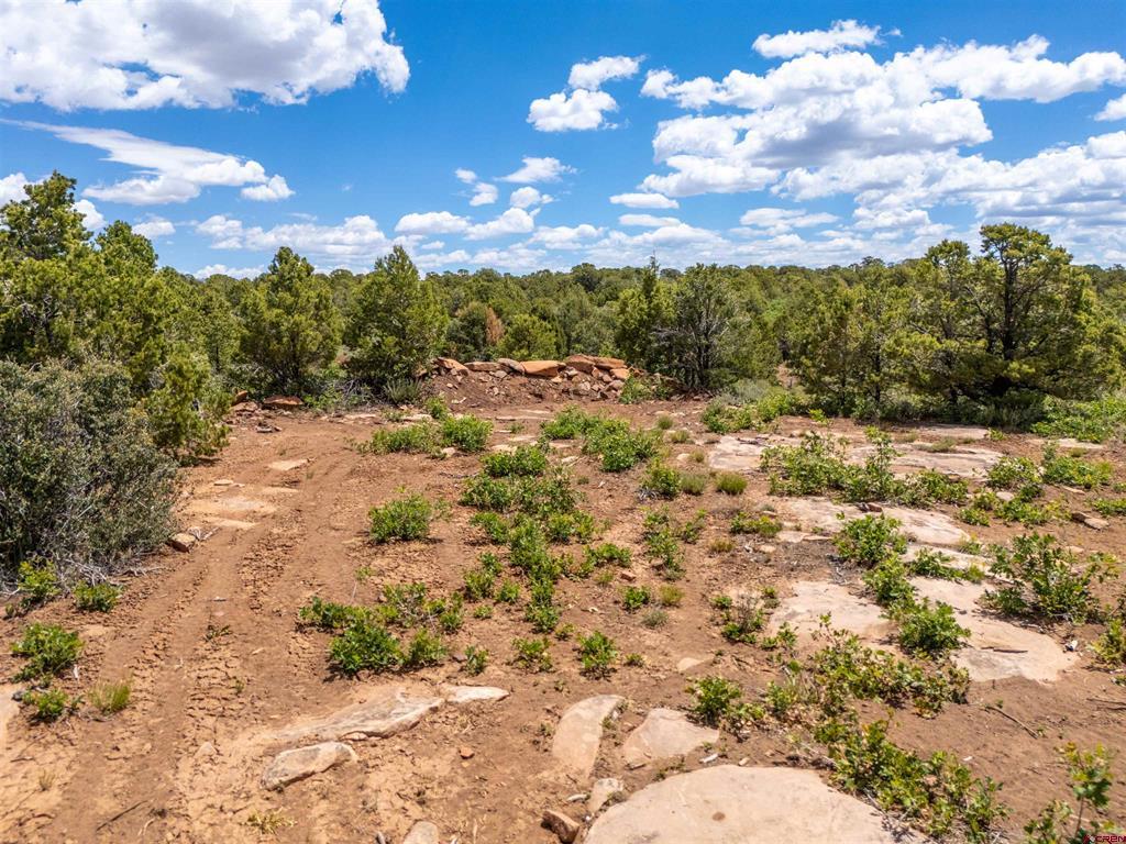 724 Blue Canyon Ranch Road Property Photo 32