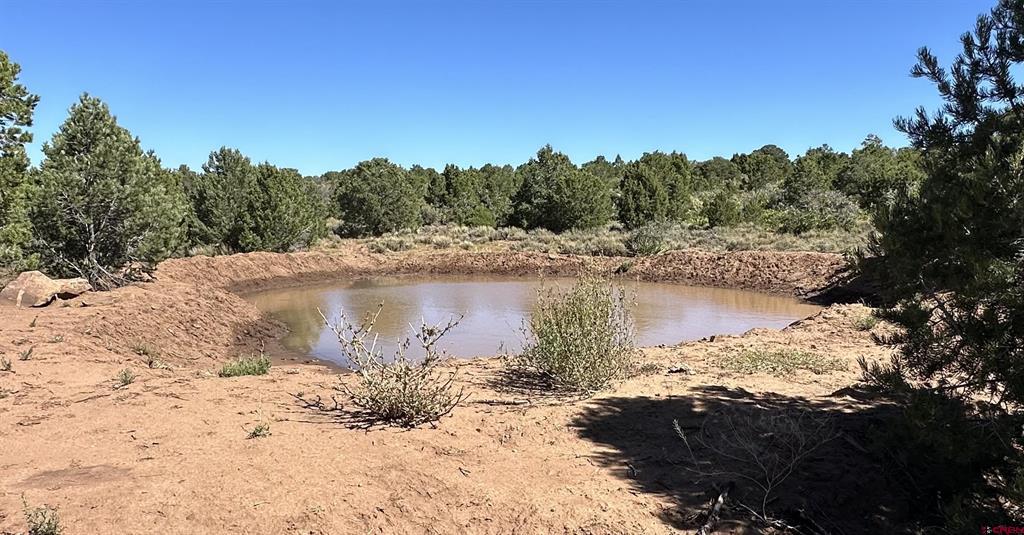 724 Blue Canyon Ranch Road Property Photo 35