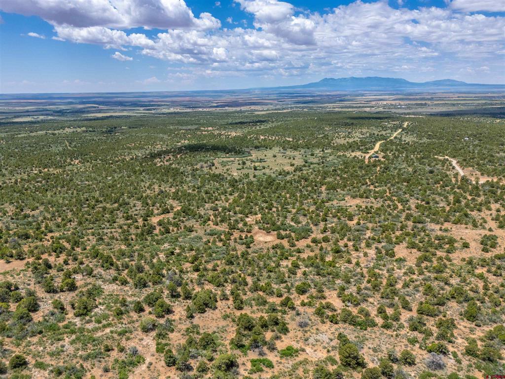 724 Blue Canyon Ranch Road Property Photo 36