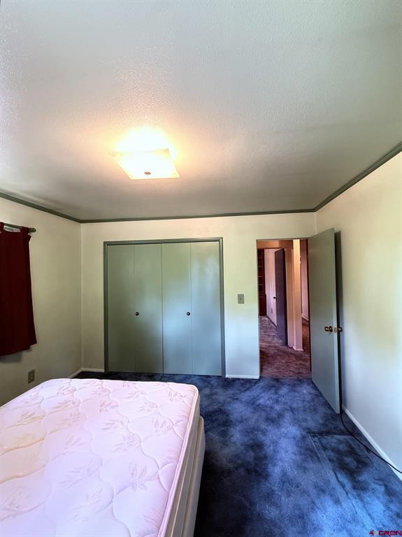 410 Smith Street Property Photo 22