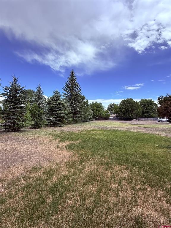 410 Smith Street Property Photo 32