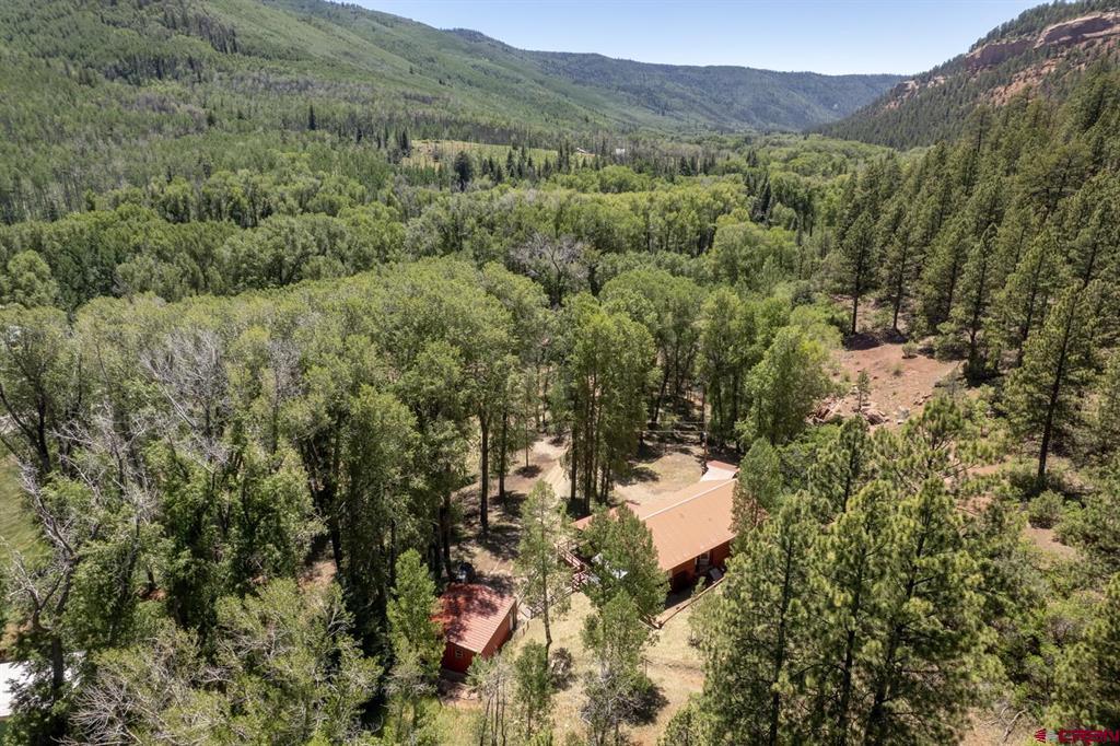 27009 Hwy 145 Property Photo 2