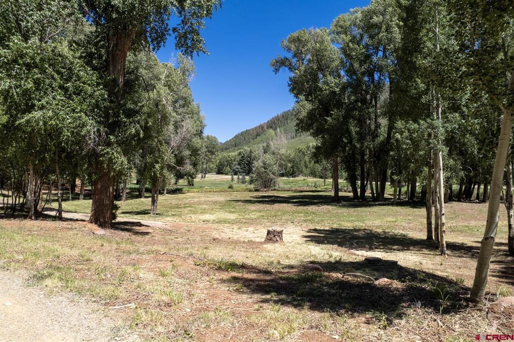 27009 Hwy 145 Property Photo 6
