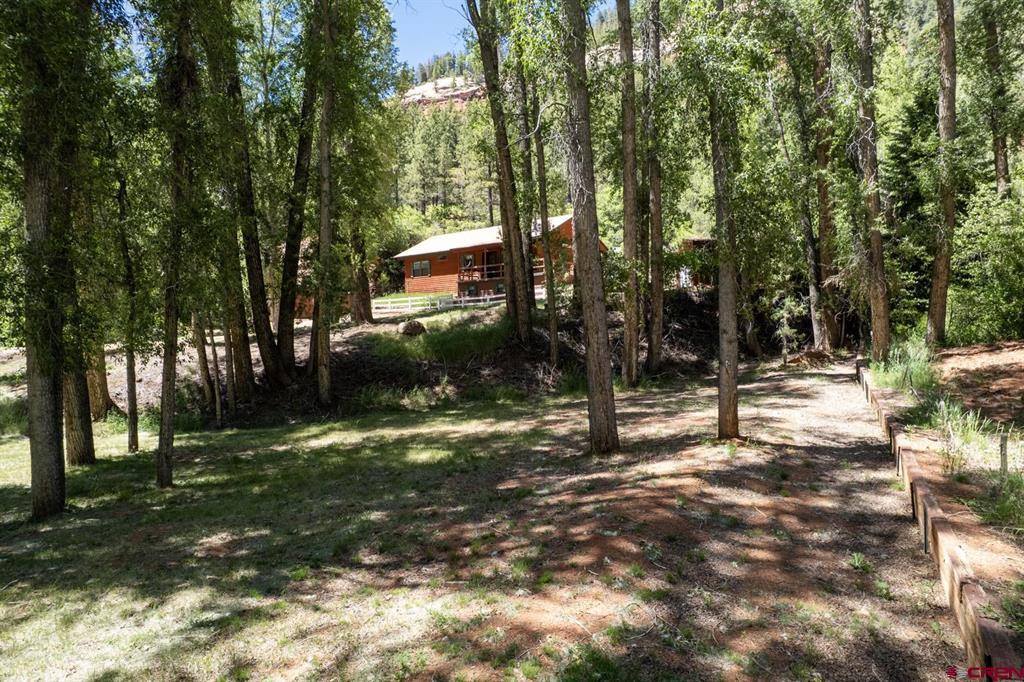 27009 Hwy 145 Property Photo 9
