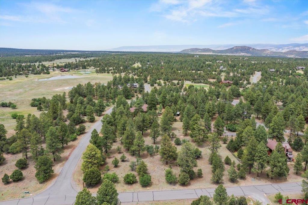 Tbd Lot 308 Bear Cub Drive Property Photo 4