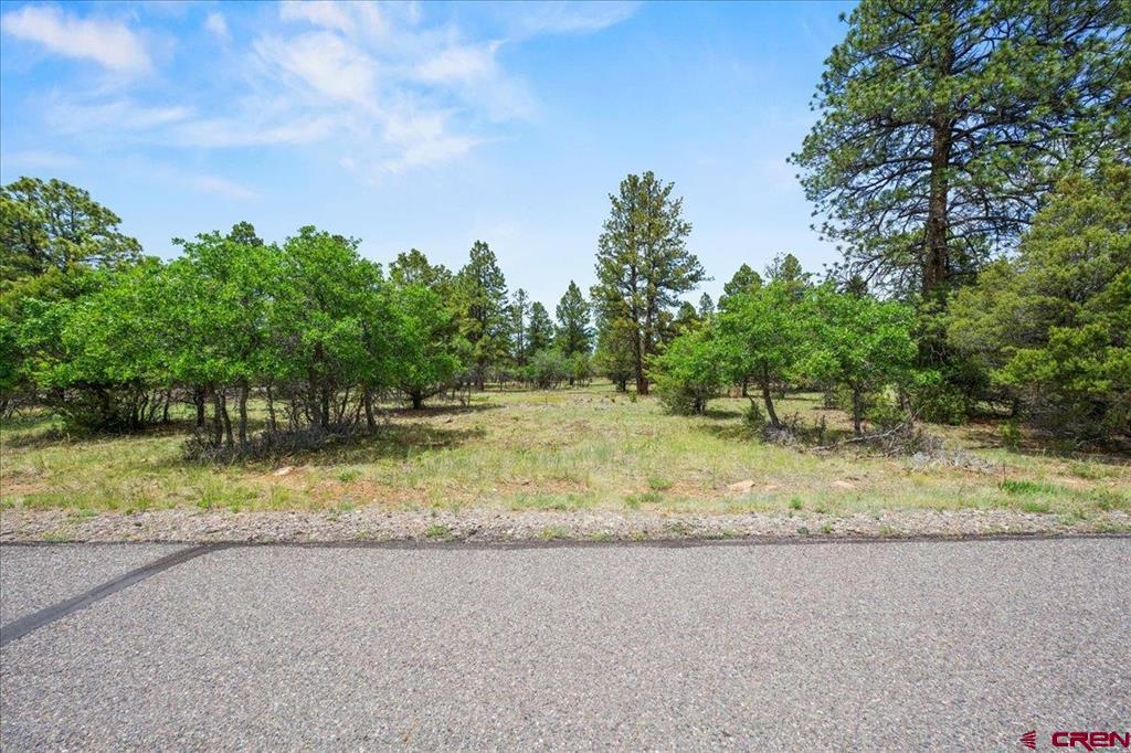 Tbd Lot 308 Bear Cub Drive Property Photo 6