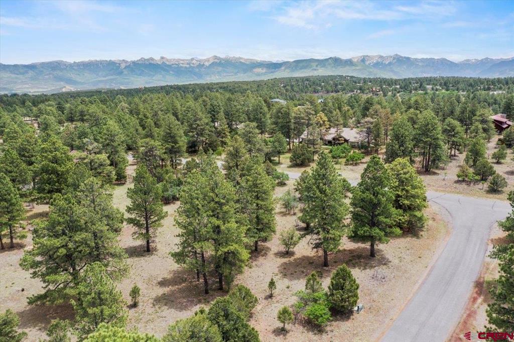 Tbd Lot 308 Bear Cub Drive Property Photo 7