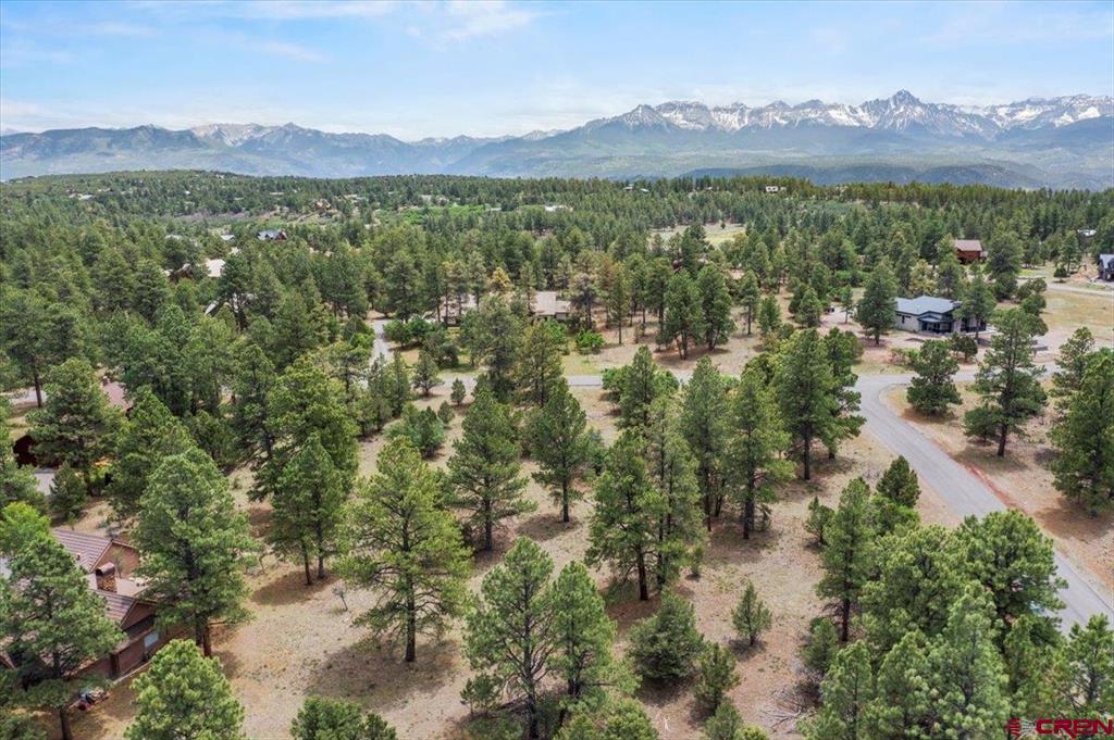 Tbd Lot 308 Bear Cub Drive Property Photo 8