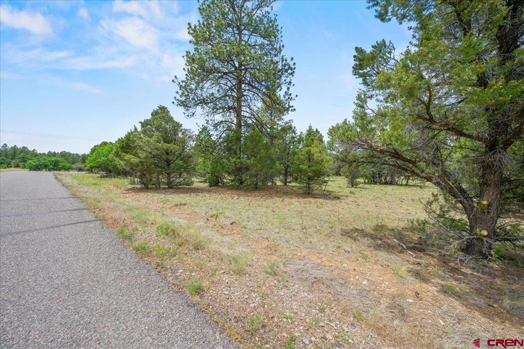 Tbd Lot 308 Bear Cub Drive Property Photo 10