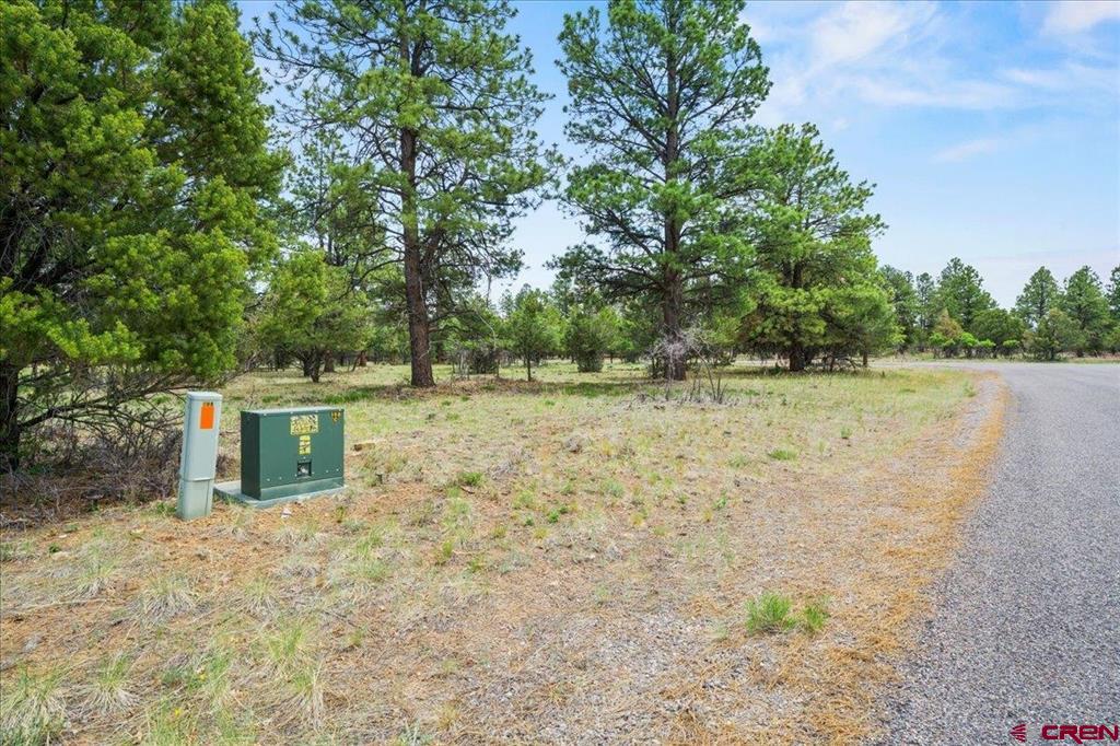 Tbd Lot 308 Bear Cub Drive Property Photo 11