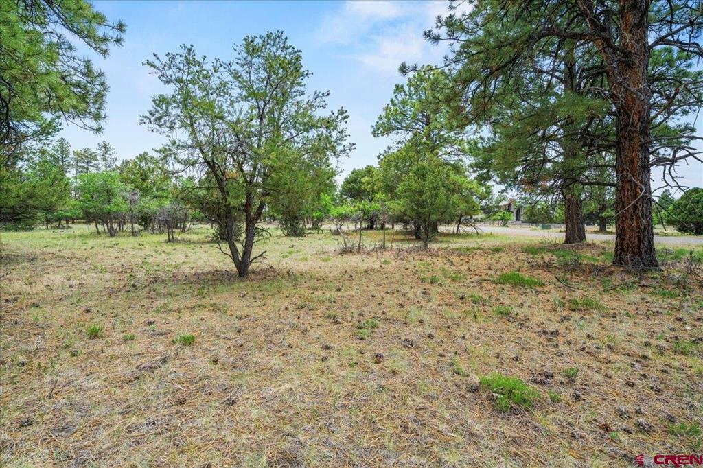 Tbd Lot 308 Bear Cub Drive Property Photo 12